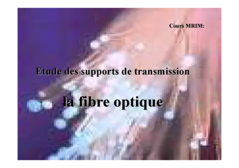 La fibre optique