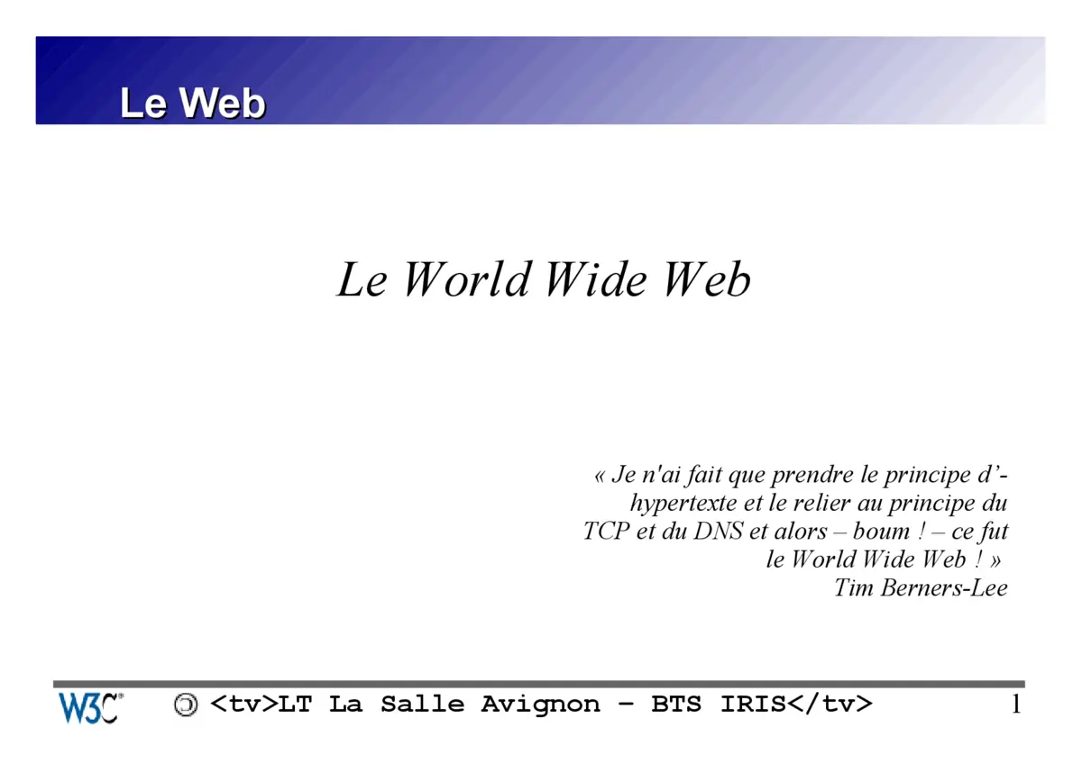 World Wide Web (WWW): Fonctionnement & Histoire