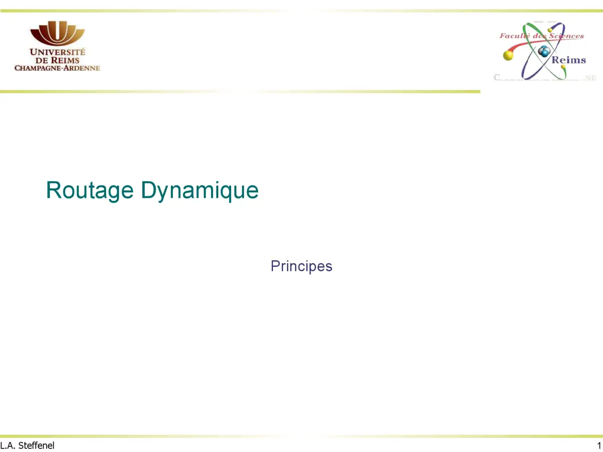 Routage Dynamique - Maîtriser les Protocoles Avancés