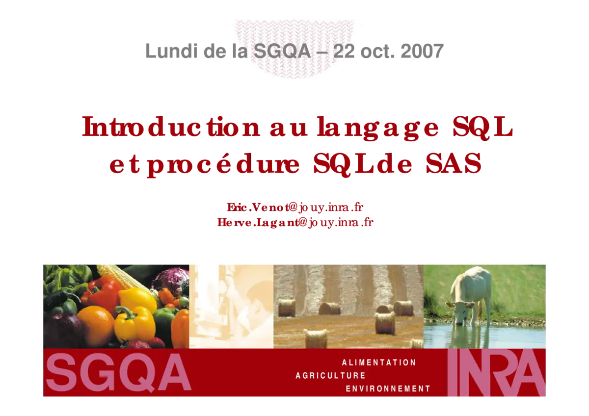 SQL - Introduction au langage et procédures SQL